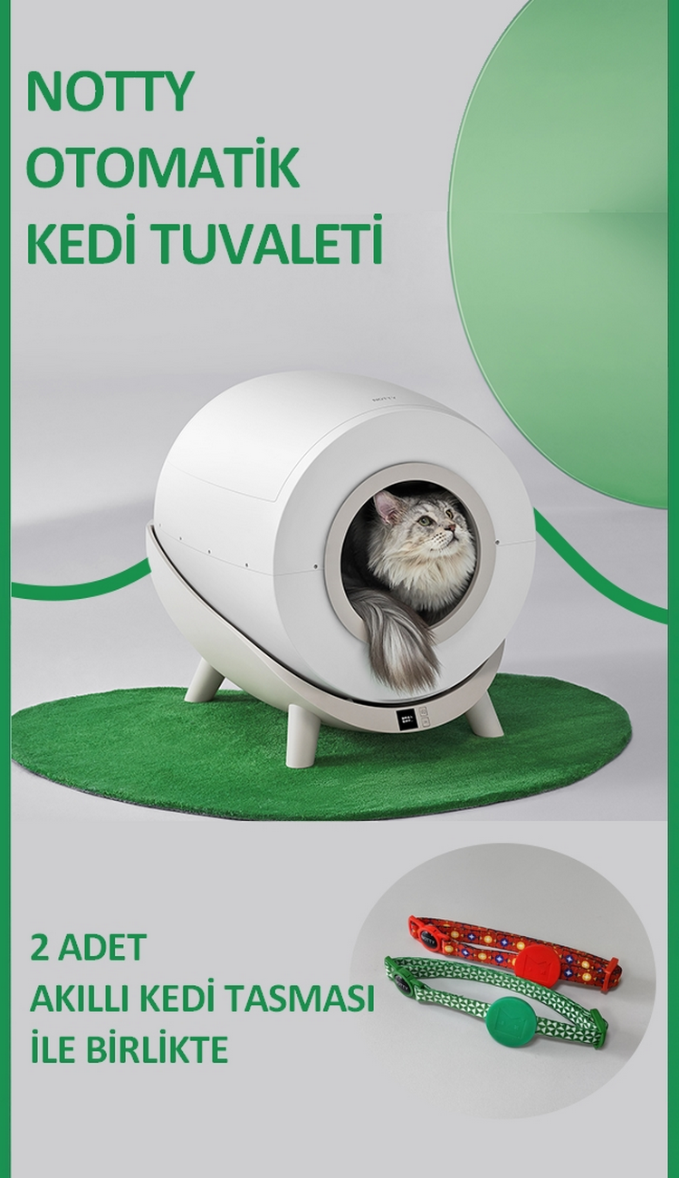 NOTTY Akıllı Kedi Tuvaleti